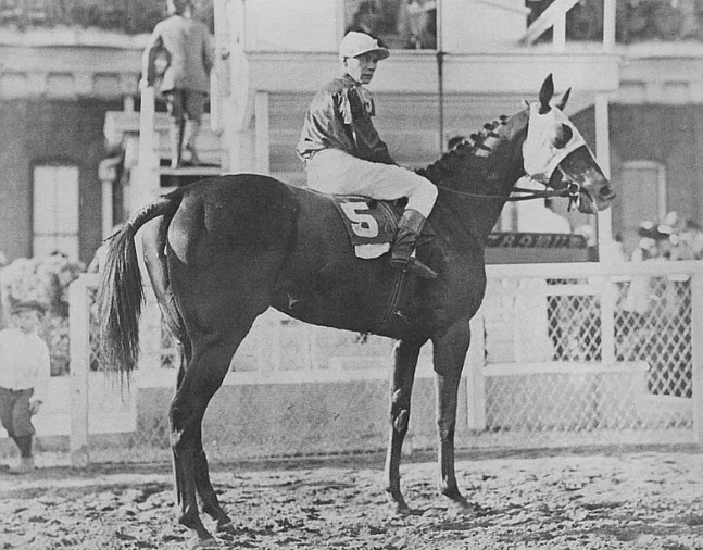Pan Zareta (TX) National Museum of Racing and Hall of Fame